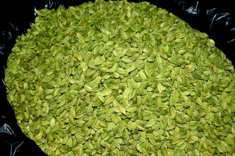 Tray of export-grade white cashew kernels W320